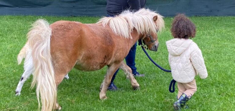 487130788_606205222456367_838148282154221226_n