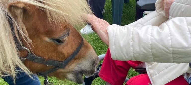 pâquerette se fait caresser (1)